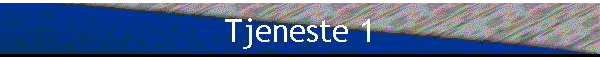 Tjeneste 1